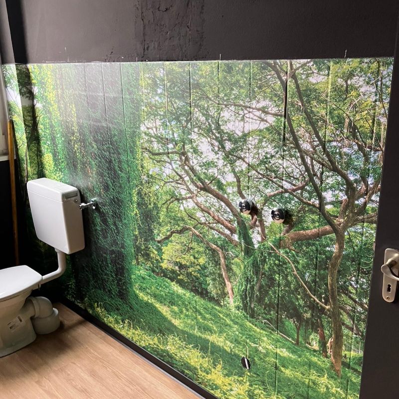 Renovierung / Tapezieren